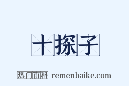 十探子是什么意思的图片